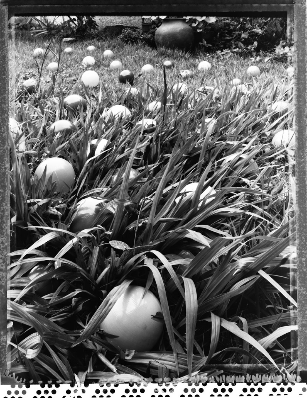 Balls, 2012