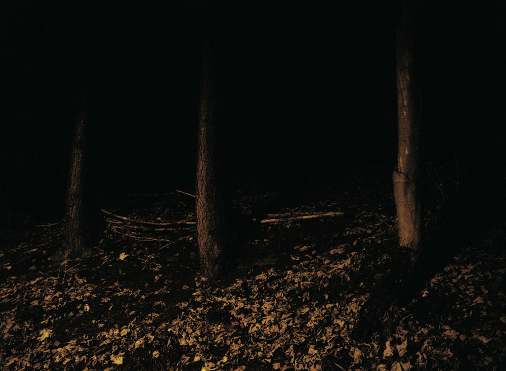 019.Feugère-The nightwatch trees.jpg