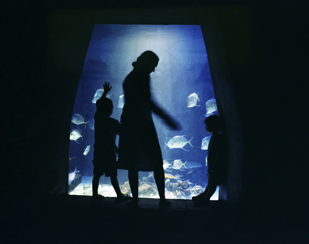The Aquarium, Paradise Island, 2004