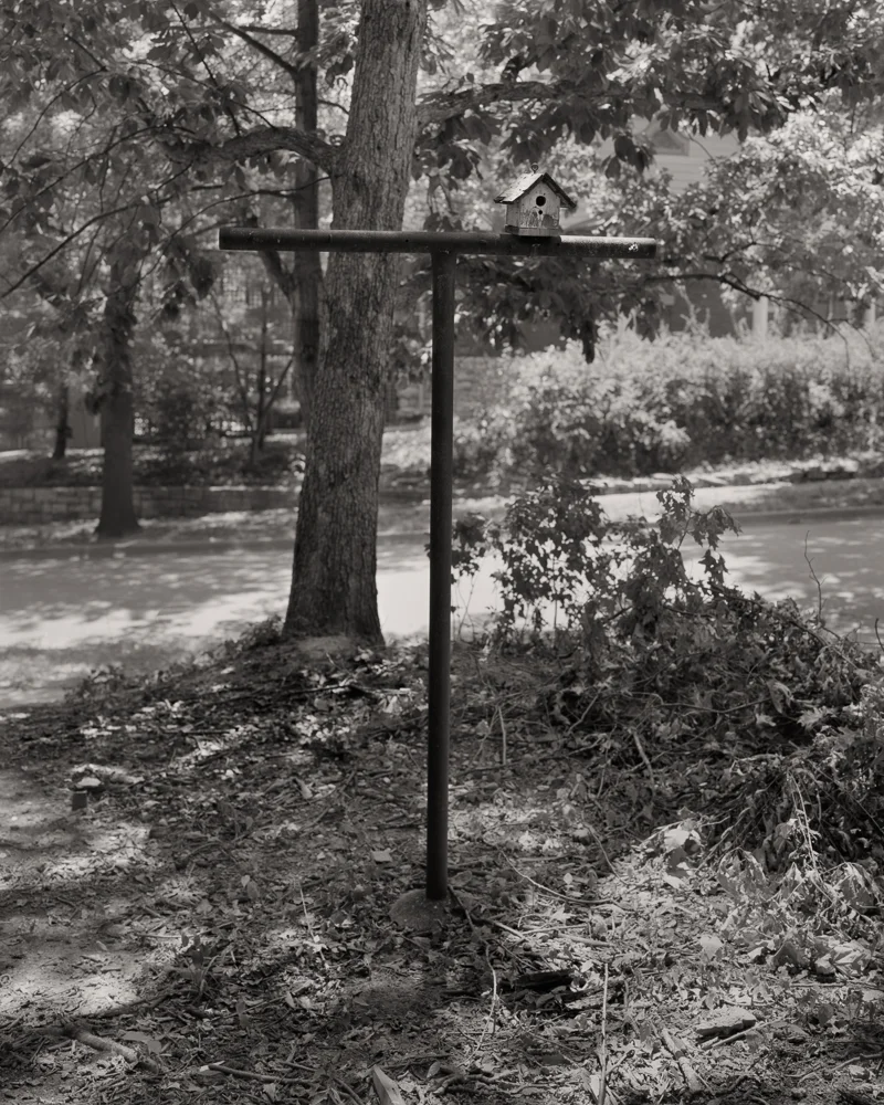 Birdhouse and clothesline