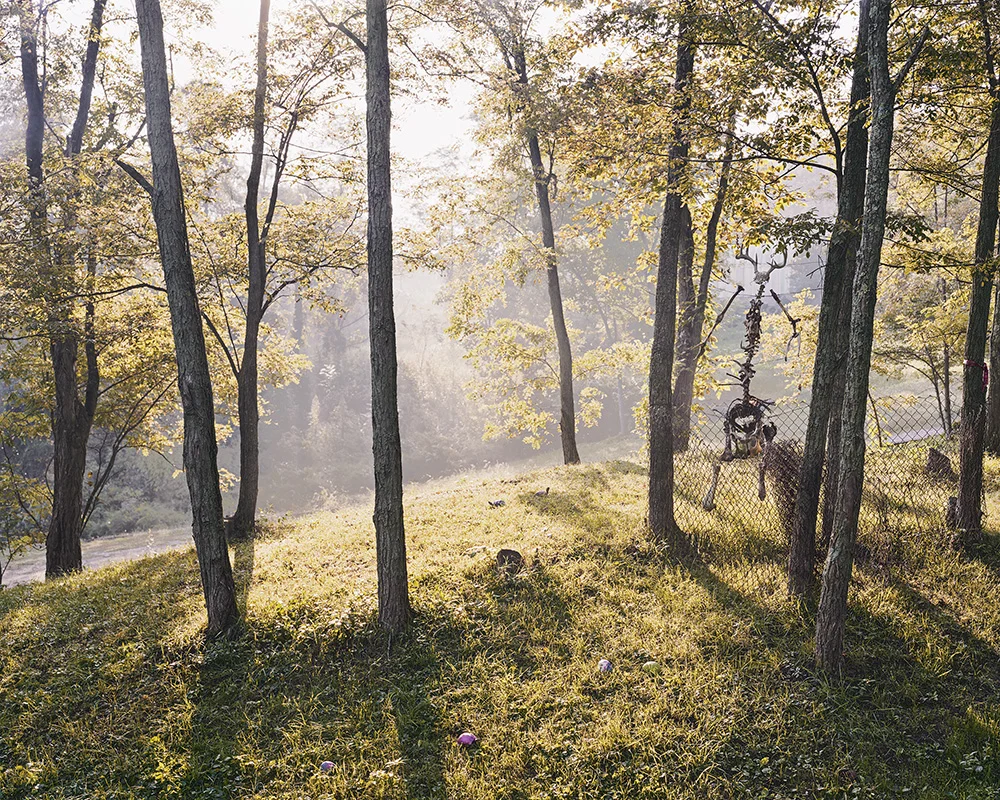 Untitled #1