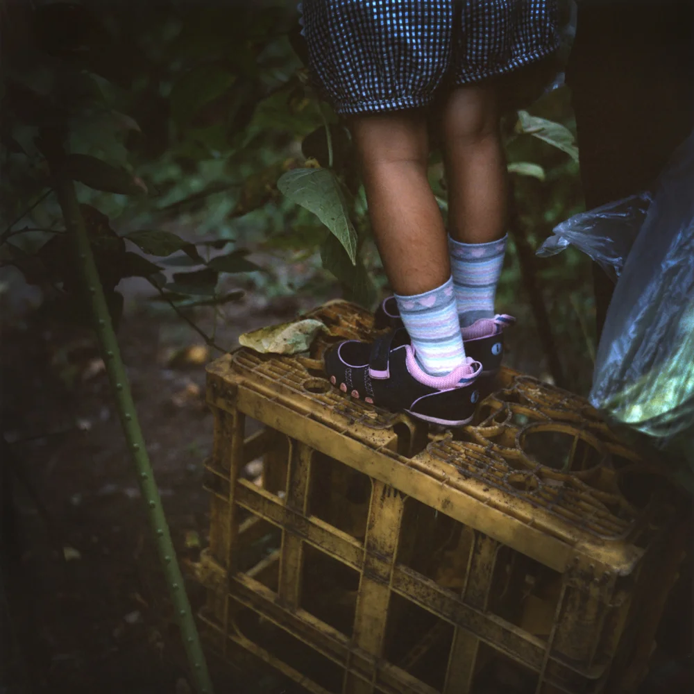 “Ingen-mame (kidney beans)”: My daughter, wrapped in a fresh aroma, stretching out to pick some beans. 