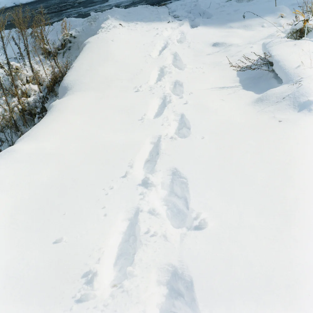 “Ashioto (a footstep)” : We can only hear the sound of someone crunching through the snow. 