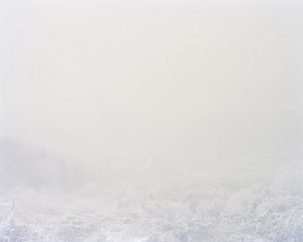 Snowscape 