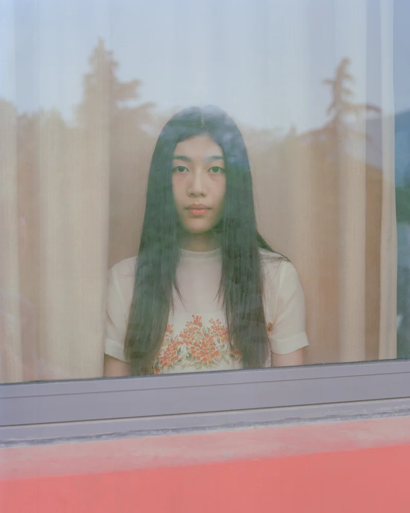 Zou Behind the Window 