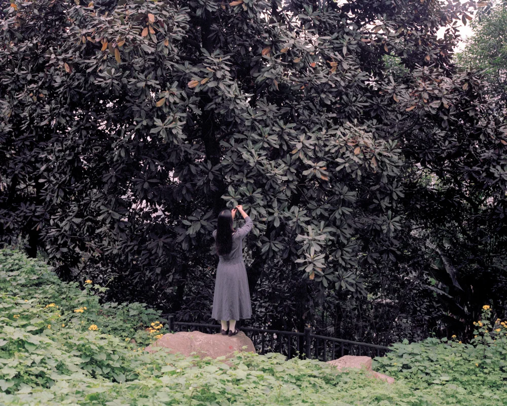 Girl Under the Tree