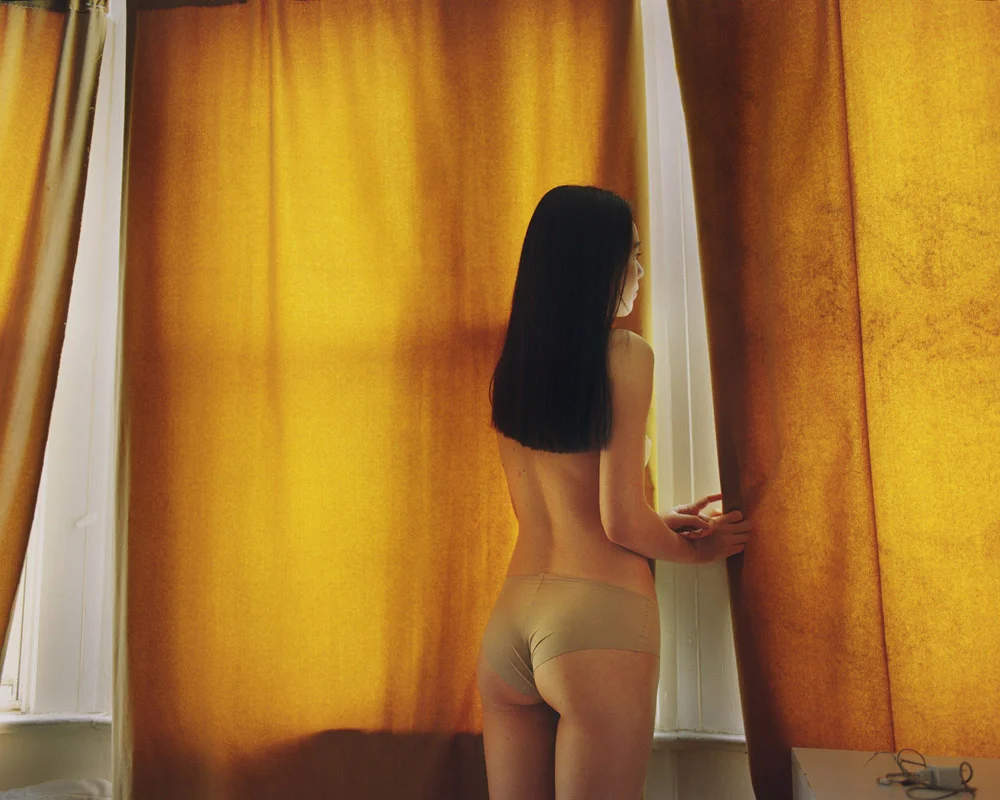 Mustard Curtain