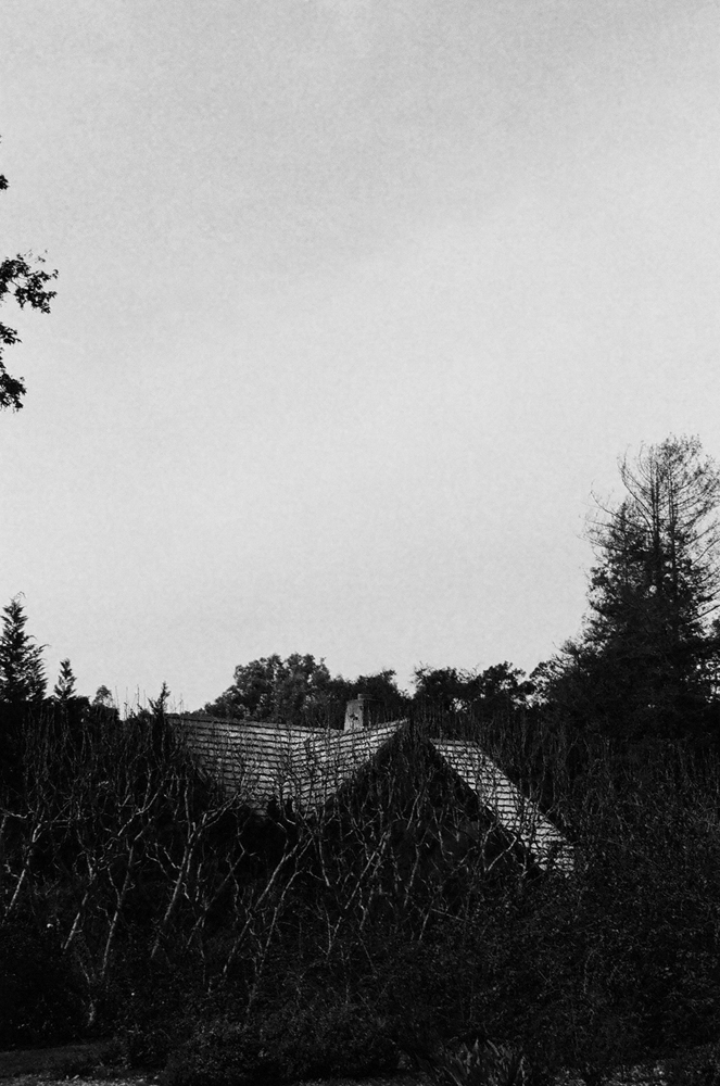 Home