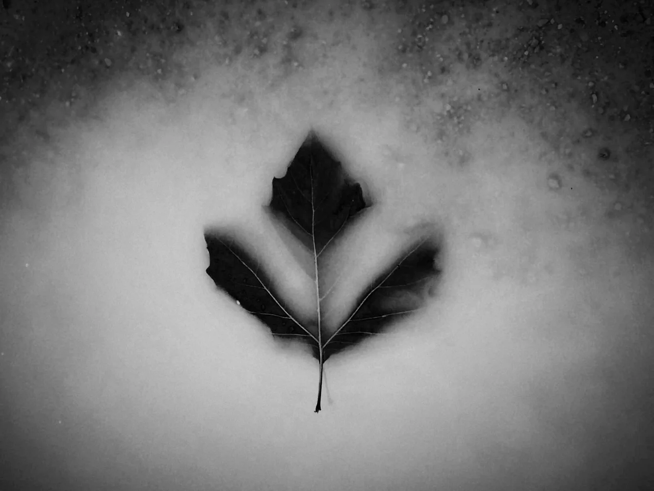 Floating