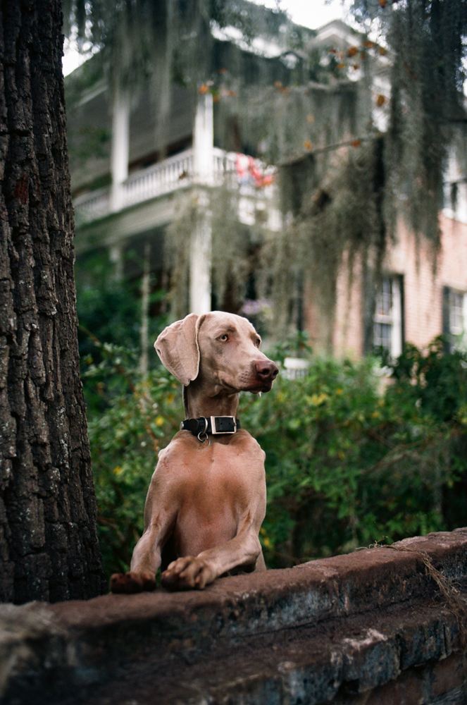 Beaufort, South Carolina