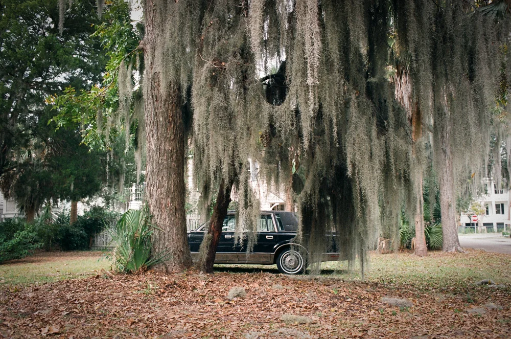 Cadillac under Moss