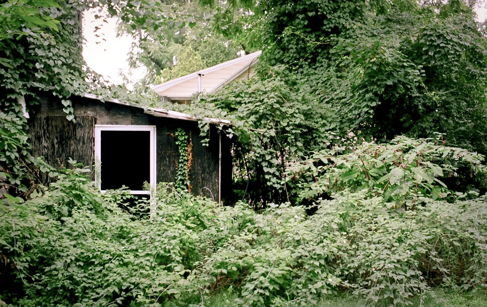 Old Virginia