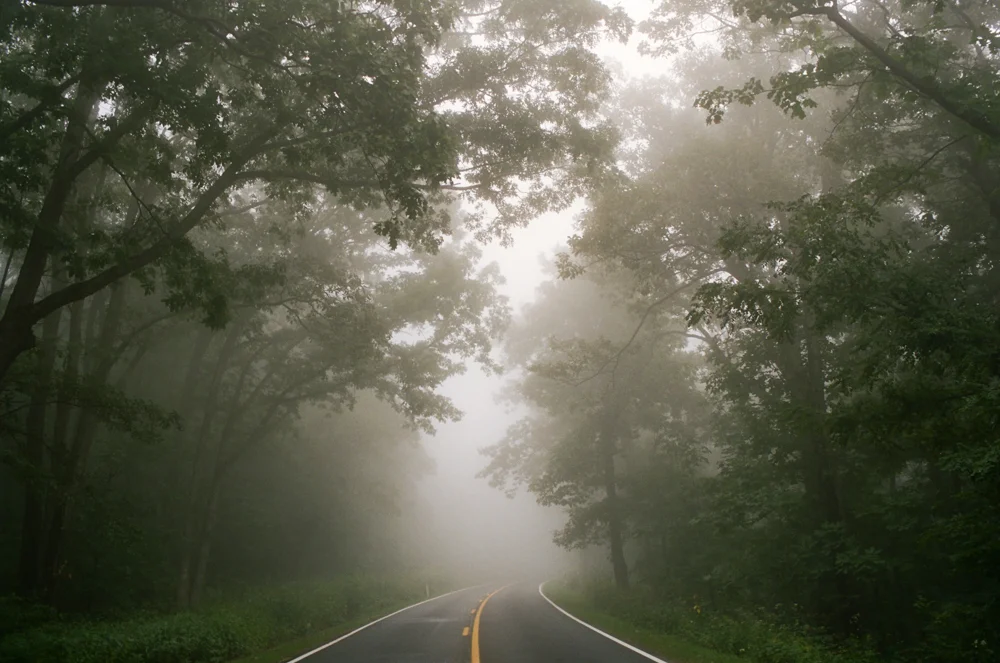 Skyline Drive, Shenandoah