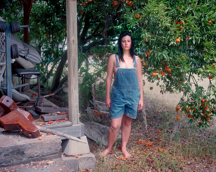 Under the Tangerine Tree by Noelle McCleaf