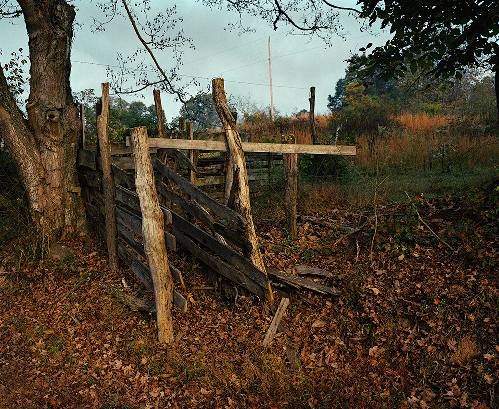 cattle chute.jpg