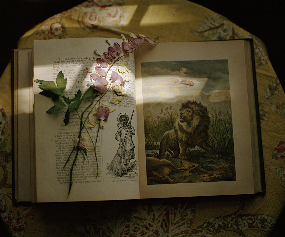 lion book pressed flower.jpg