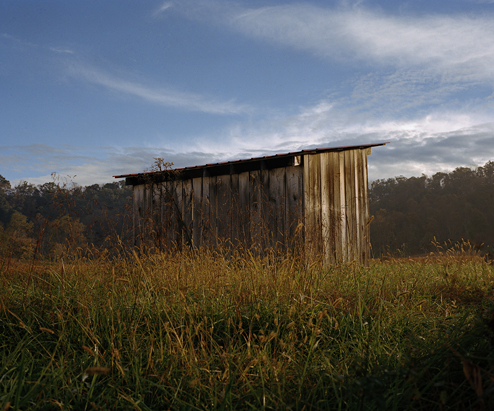 shed33.jpg