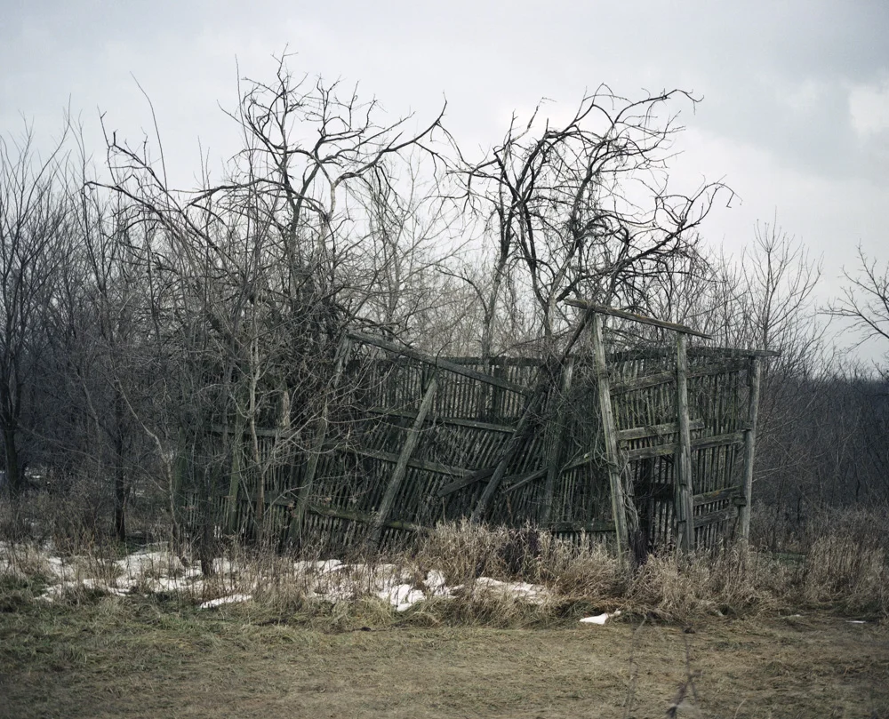 Wood Structure