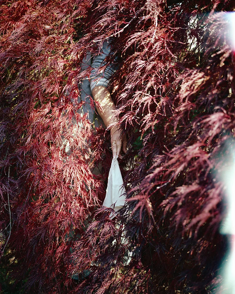 The Burning Bush