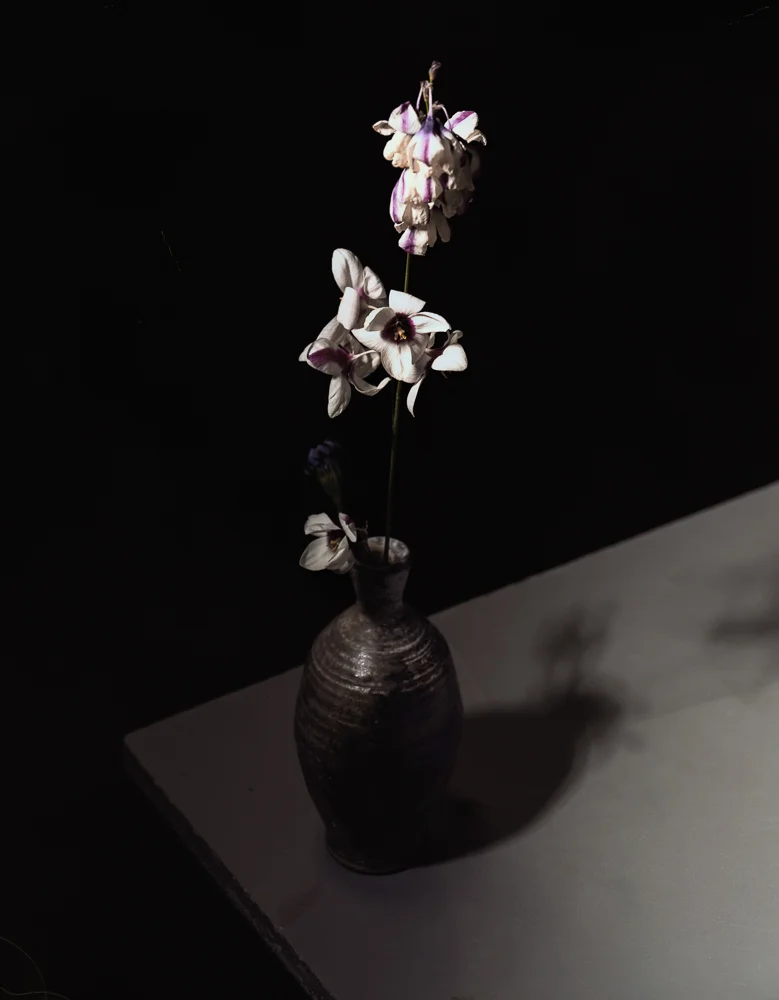 Edge Arrangement, 2015