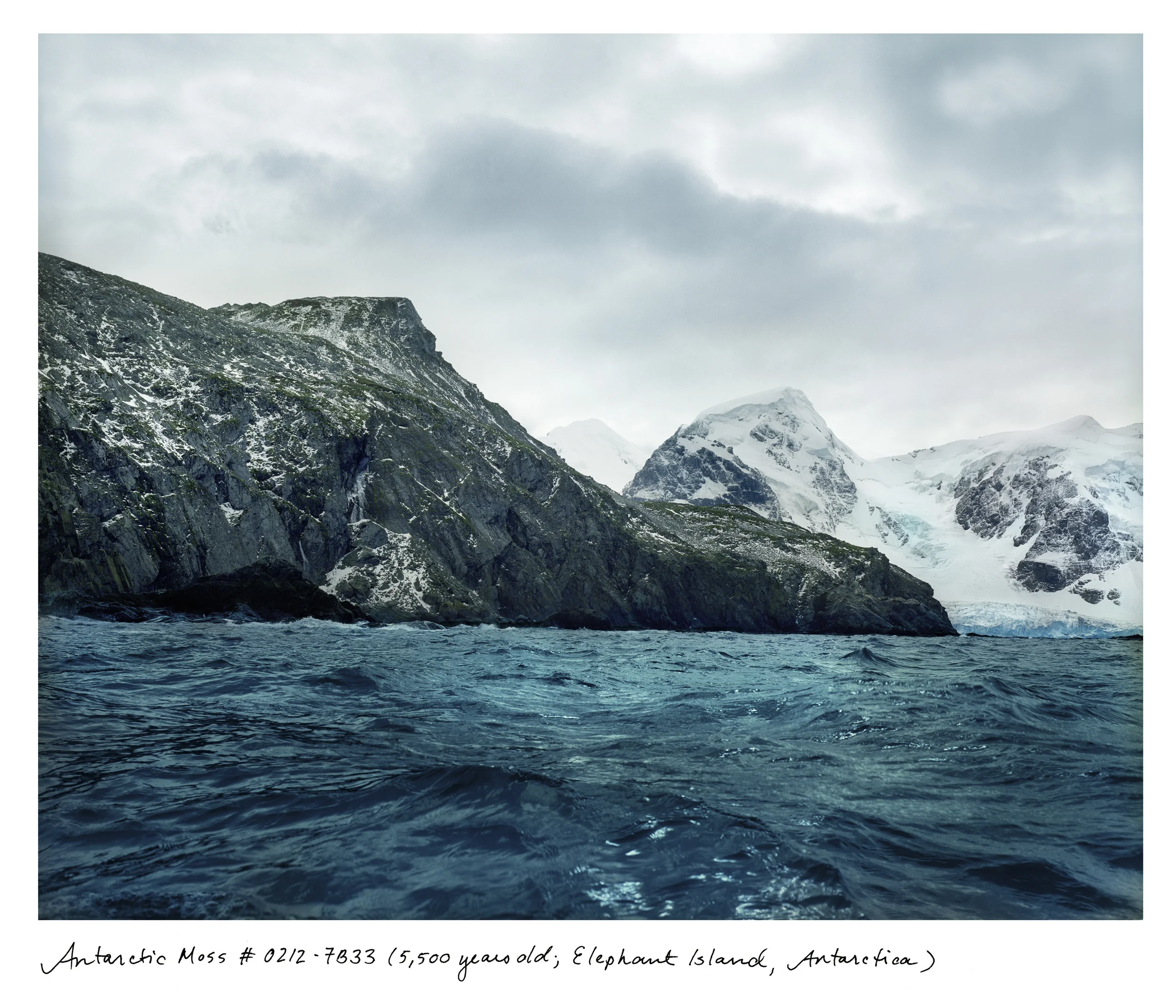 This 5,500-year-old moss bank lives right around the corner from where the Shackleton Expedition was marooned 100 years ago on Elephant Island, Antarctica. It was a victory simply being able to locate it. These days it's easier to get to Antarctica from space.