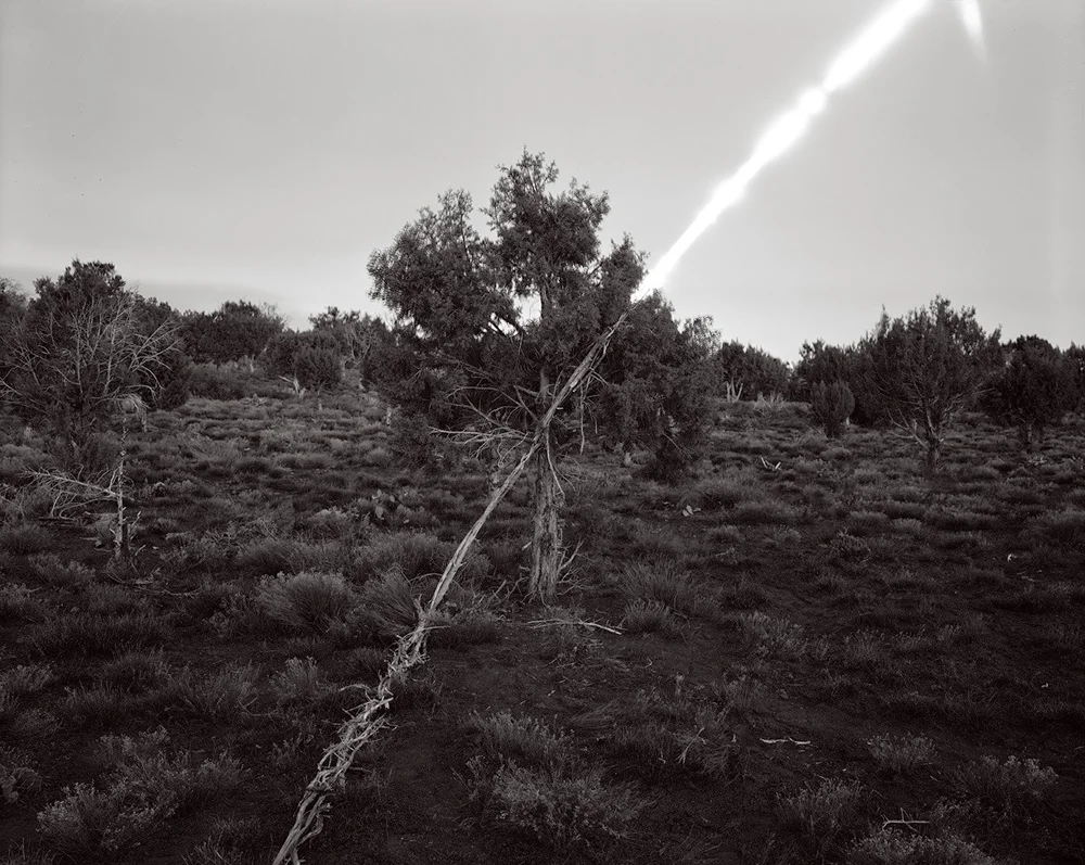  Juniper Moonrise, Tonto National Forest, Arizona