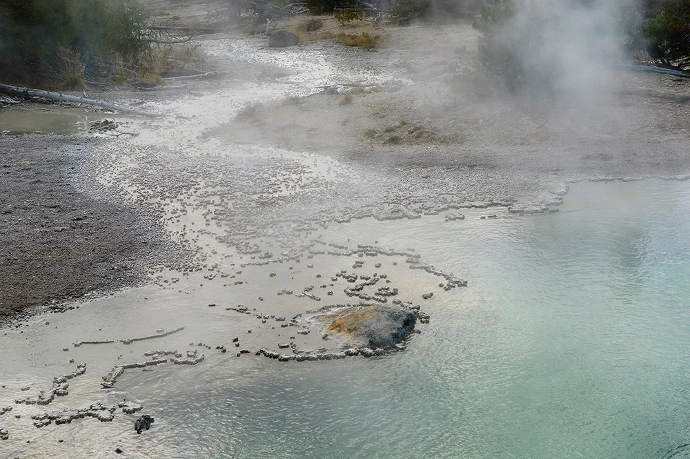 Emerald Spring, Norris Geyser Basin