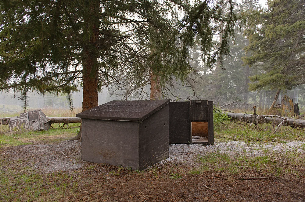 Rose Creek Acclimation Pens
