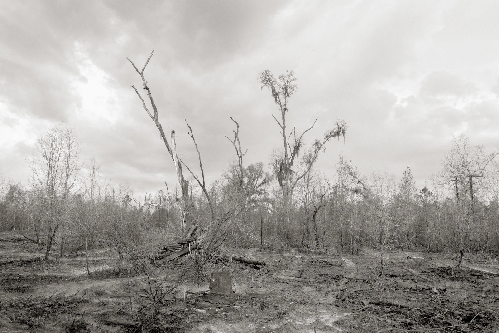 Colin Kelly HWY, Madison County, FL (1)