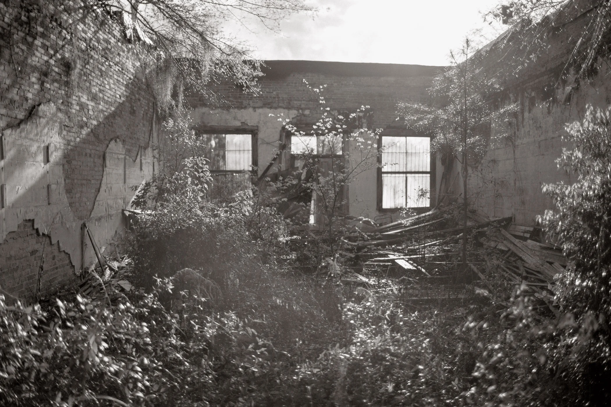 Allen General Store (Morning), Pinetta, FL