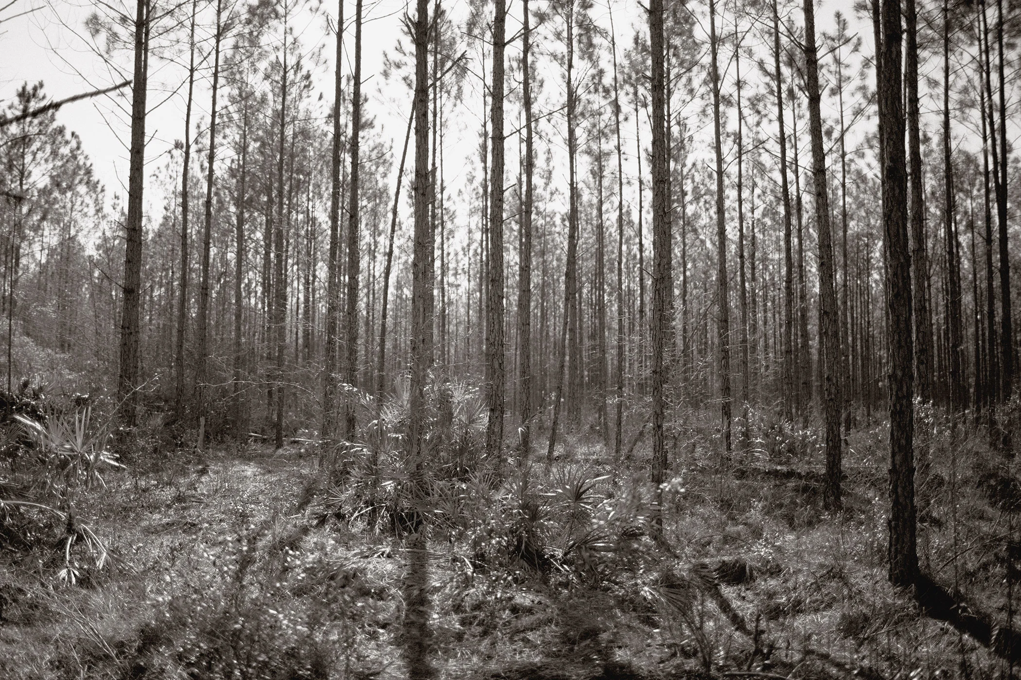 Lowndes County, GA