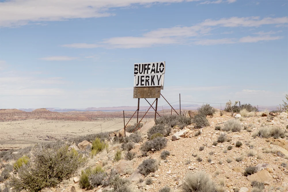 Buffalo Jerky
