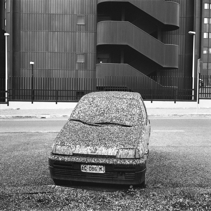 © Paolo Patrizi