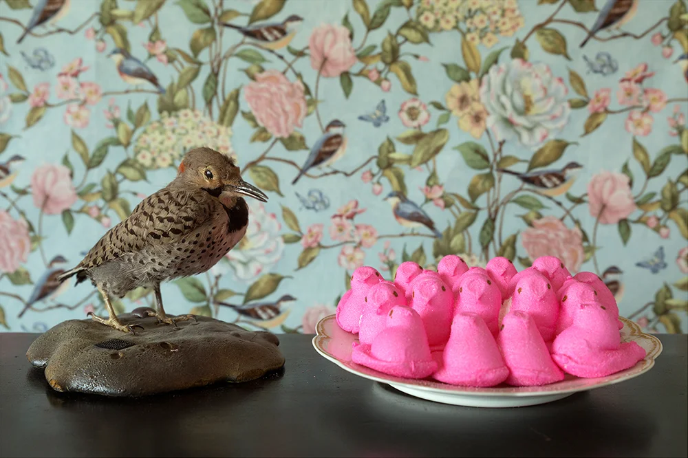 Mother Bird