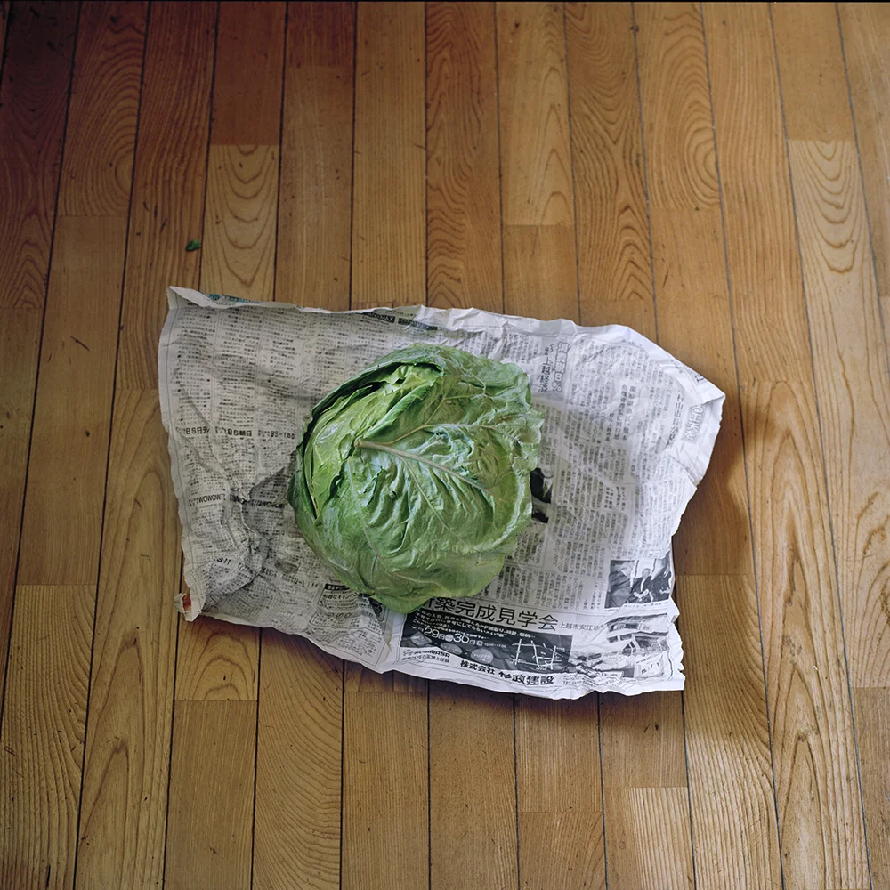 Home grown-cabbage