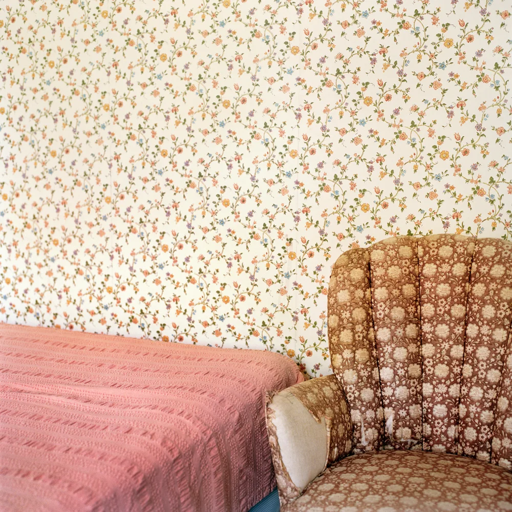 Floral patterns (Woods Hole, MA) 2013