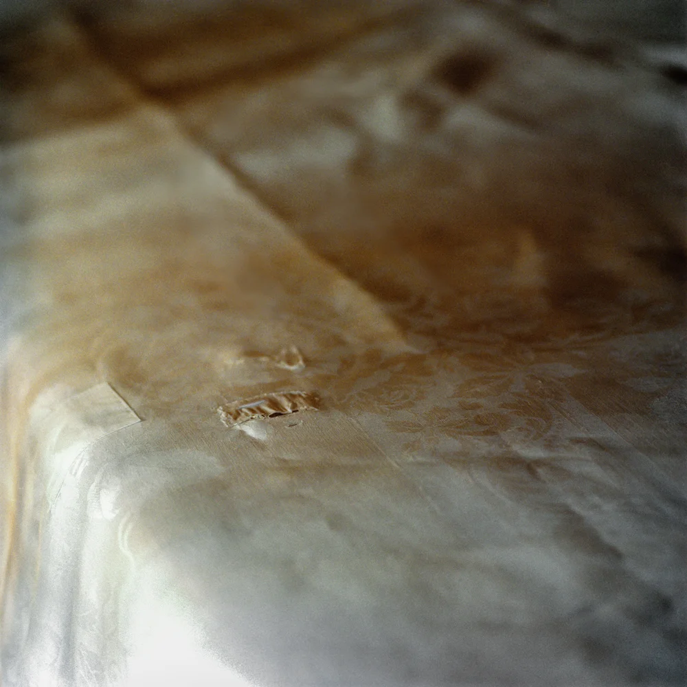 Tablecloth (Milton, MA) 2013
