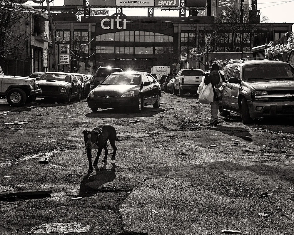 Junk Yard Dog