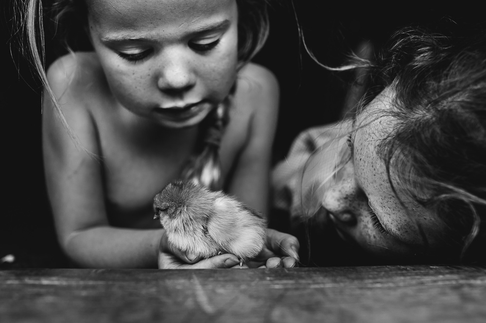 Baby Chicken