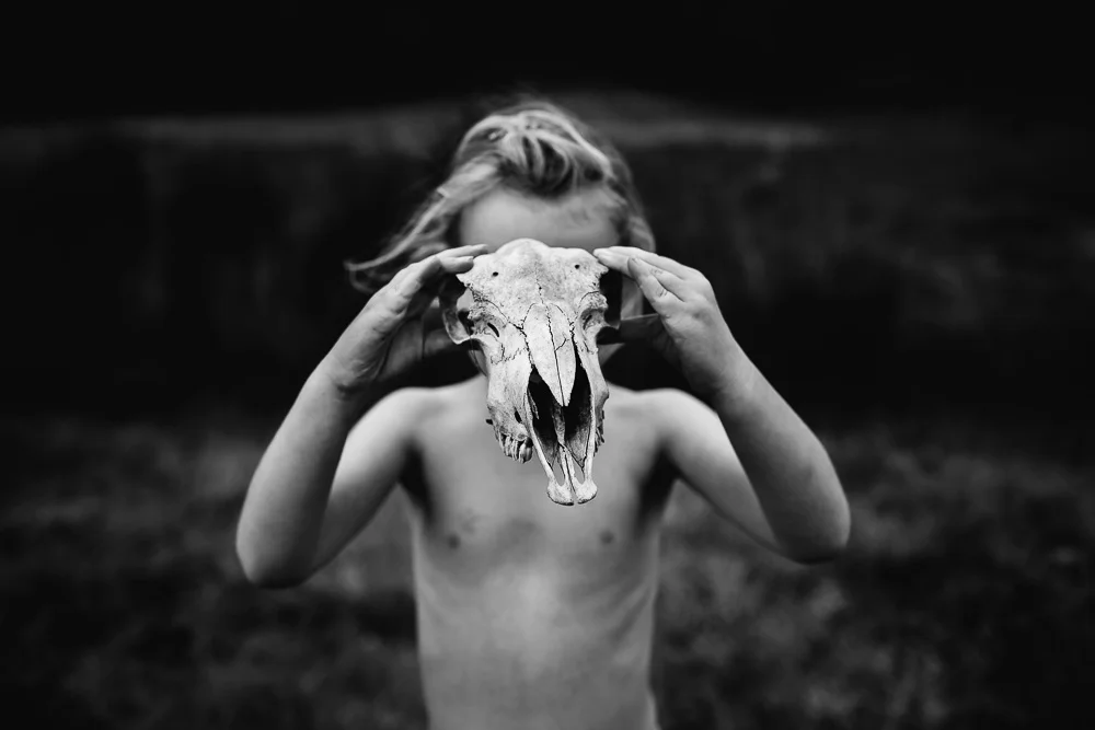 Sheep Skull