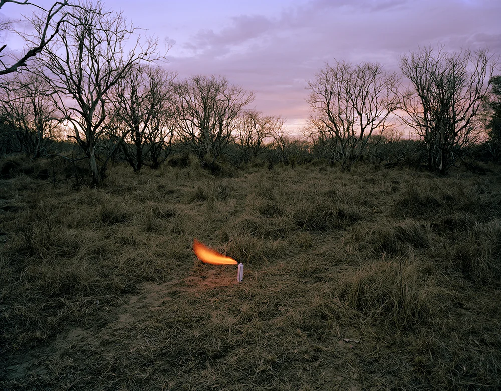 An Aerosol Container in an Abandoned Peach Orchard