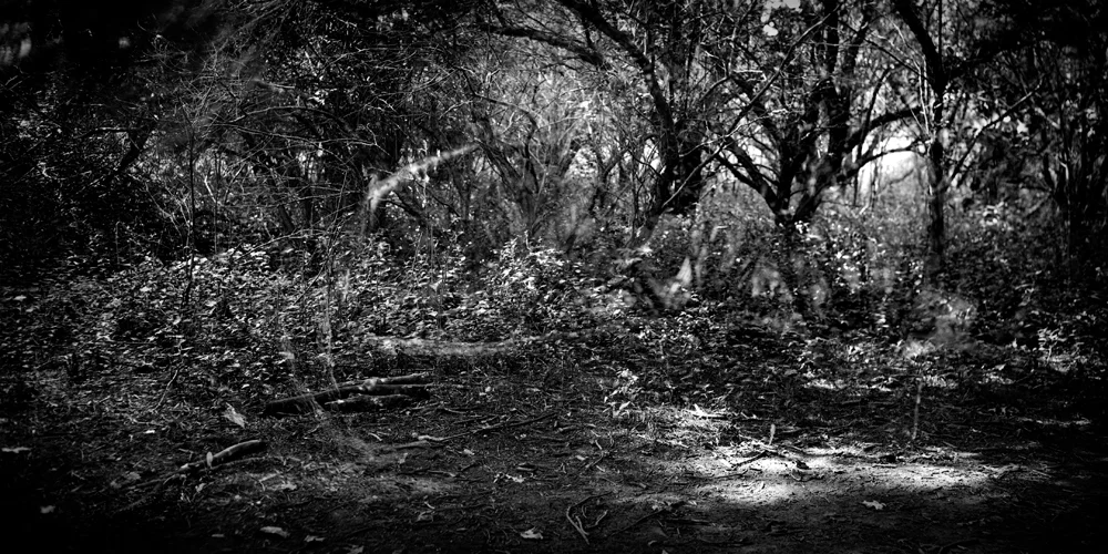Fallen