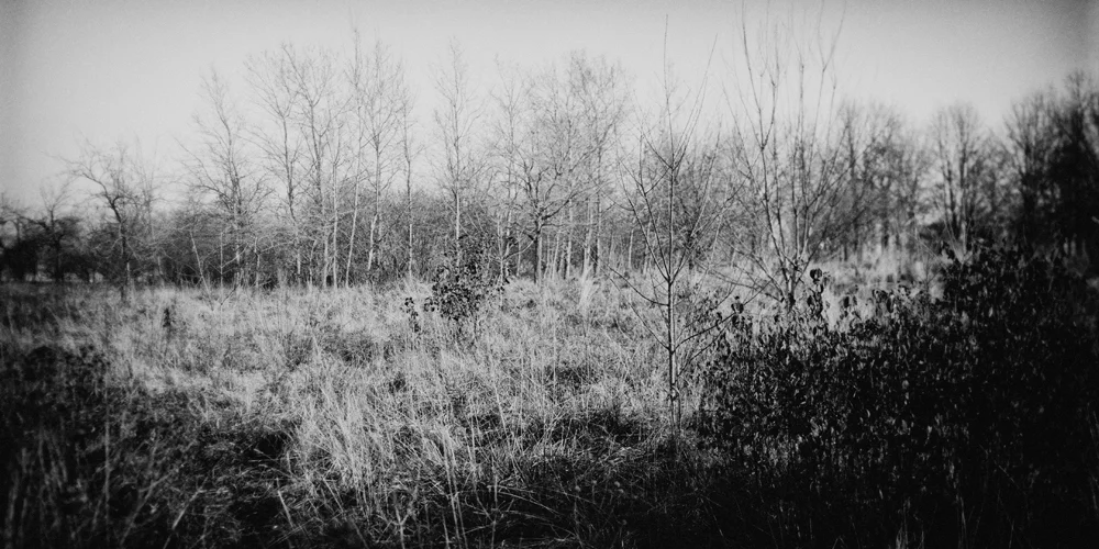 Clearing