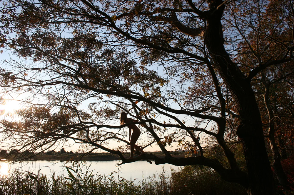 Deer Land