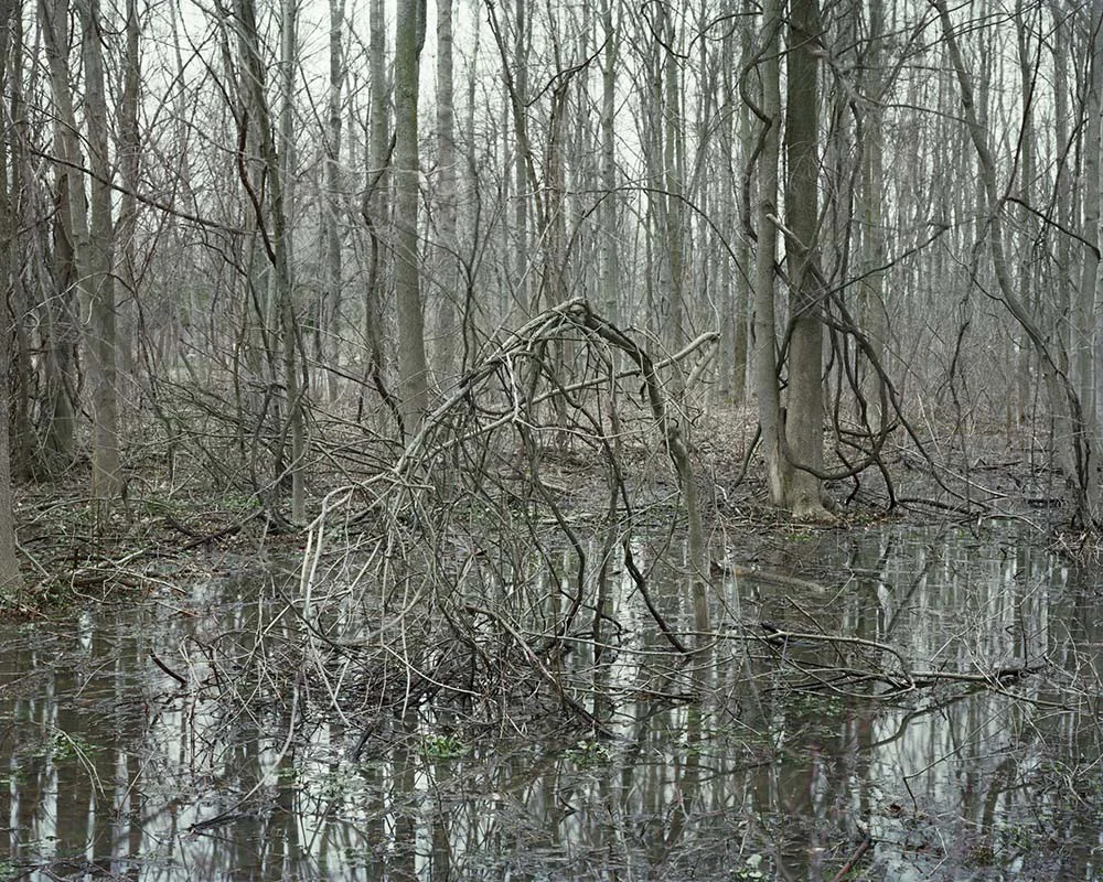 Presence 1, Tullis Johnson