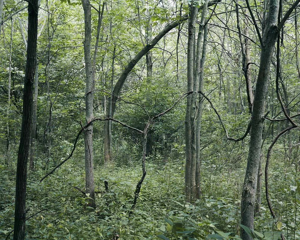 Presence 10, Tony Bannon
