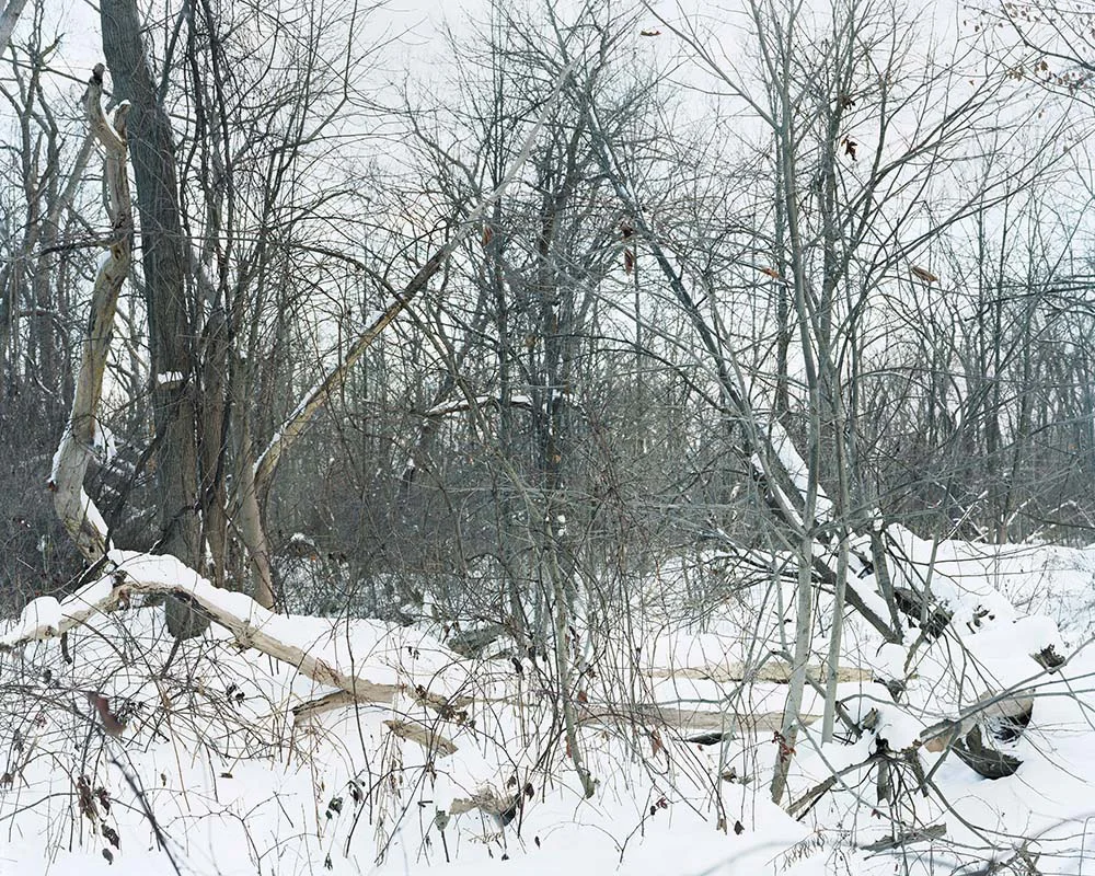 Presence 16, Anya Sacharow