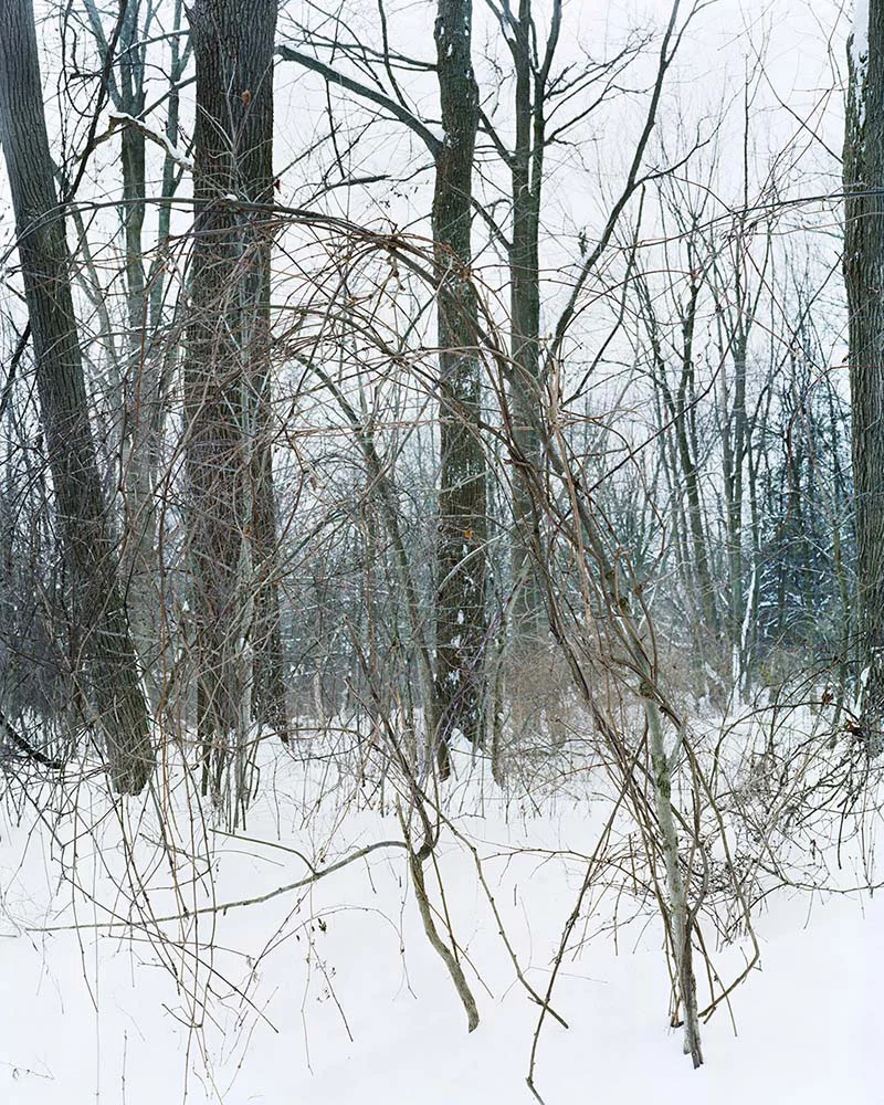 Presence 17, Nancy Weekly