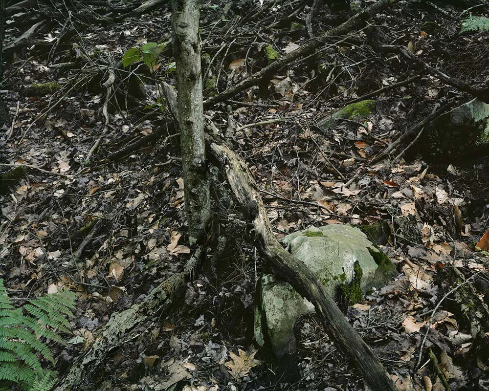 Presence 9, Peter & Ilene Fleischmann
