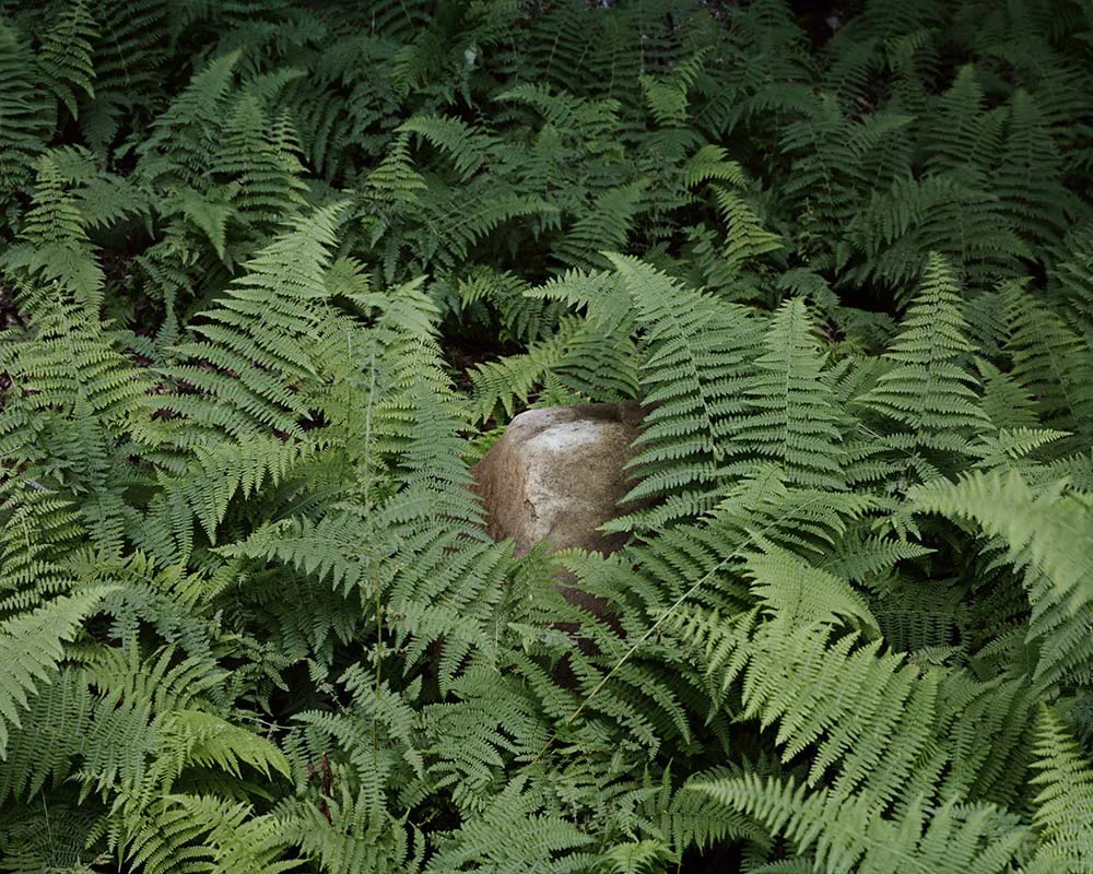 Presence 6, Scott Propeack